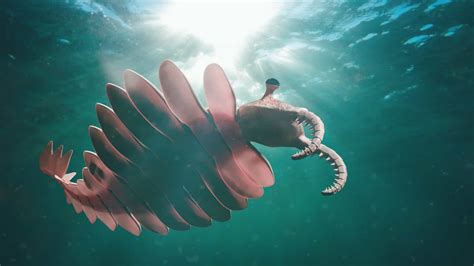 why did anomalocaris go extinct.